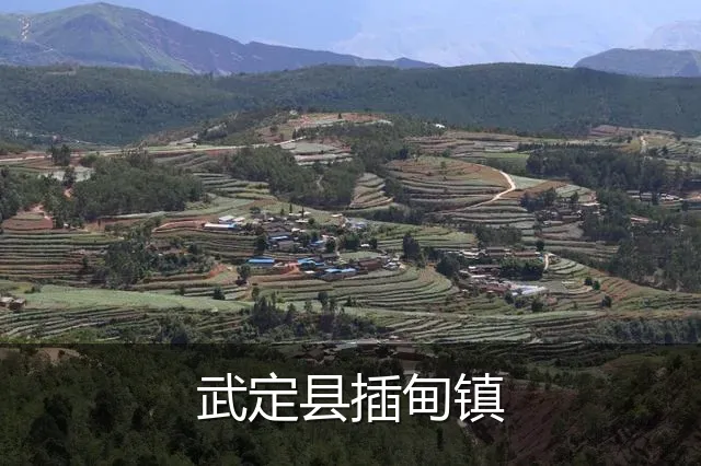武定县插甸镇
