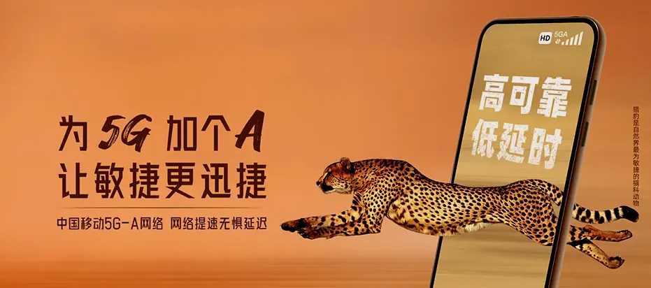 武定县武定县狮山镇 移动宽带